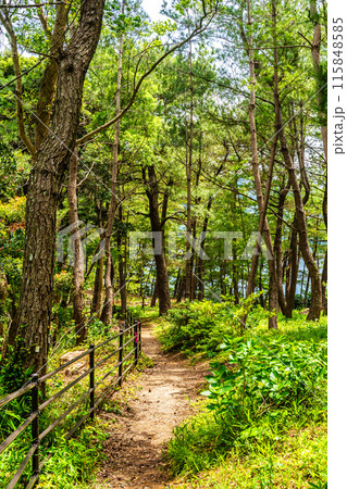 富津弁天宗像神社【長崎県雲仙市小浜町】 富津弁天宗像神社【長崎県雲仙市小浜町】 115848585