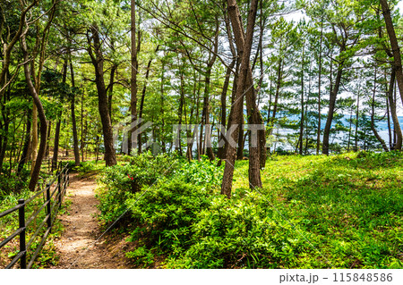 富津弁天宗像神社【長崎県雲仙市小浜町】 富津弁天宗像神社【長崎県雲仙市小浜町】 115848586