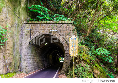 緑のトンネル鉄道跡【長崎県雲仙市】 緑のトンネル鉄道跡【長崎県雲仙市】 115849496