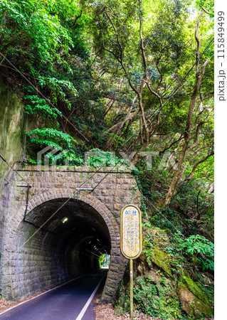 緑のトンネル鉄道跡【長崎県雲仙市】 緑のトンネル鉄道跡【長崎県雲仙市】 115849499