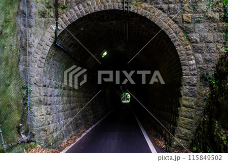 緑のトンネル鉄道跡【長崎県雲仙市】 115849502