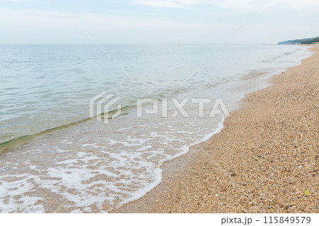 淡路島・慶野松原 115849579