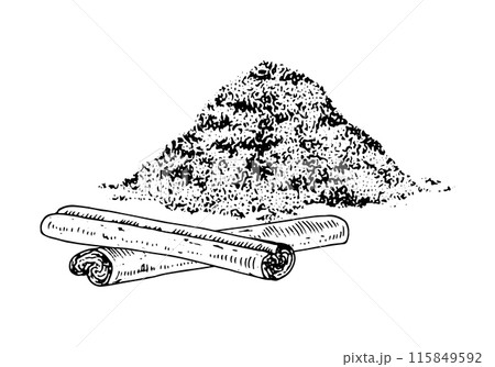 Cinnamon sticks and powder. Vector hand drawn illustration. Ground cooking canella for baking. Vintage black and white art on background. Food clipart sketch drawing. For spice packaging design 115849592