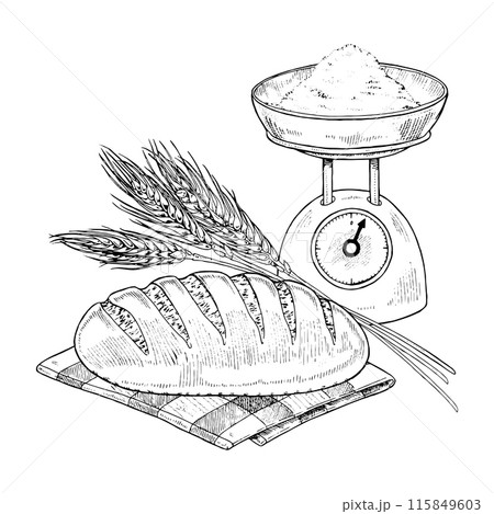 Bread with Wheat Vector hand drawn illustration. Freshly baked loaf sketch drawing. Vintage white and black line art on background. Food and flour for design. Preparation of pastry in the bakery 115849603