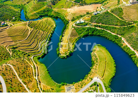 Aerial view of the terraces of the Douro Vineyards on a summer day Aerial view of the terraces of the Douro Vineyards on a summer day 115849623