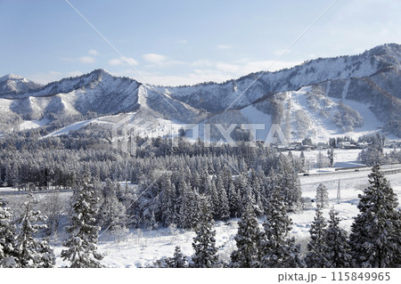 快晴の朝 雪を頂く樹木と山々 遠くにスキー場を望む 115849965