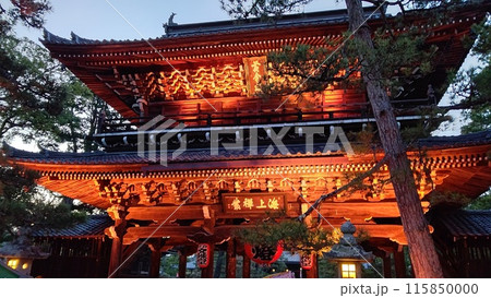 智恩寺、ライトアップされた黄金閣【京都・宮津】 115850000