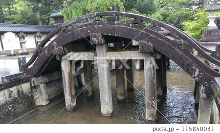 多賀大社の太閤橋（反り橋）【日本・滋賀】 115850031