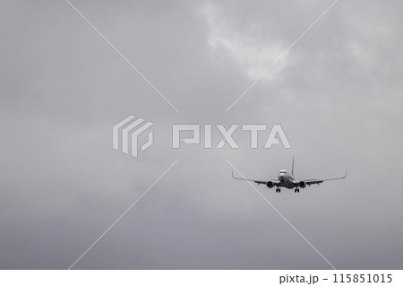 大阪空港・伊丹空港に着陸する旅客機・飛行機・全日空ボーイング737 115851015