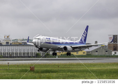 大阪空港・伊丹空港に着陸する旅客機・飛行機・全日空ボーイング737 115851016