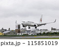 大阪空港・伊丹空港に着陸する旅客機・飛行機・日本航空ボーイング737 115851019