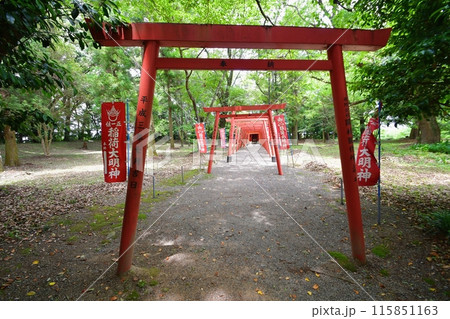 田丸城　北の丸 115851163
