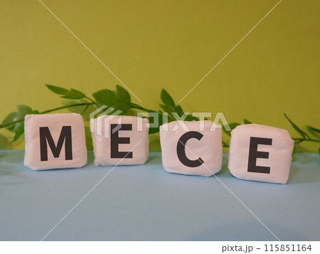 MECEのアイキャッチ画像 115851164