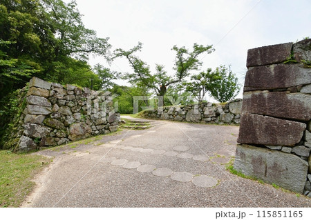田丸城 本丸虎口跡 田丸城 本丸虎口跡 115851165