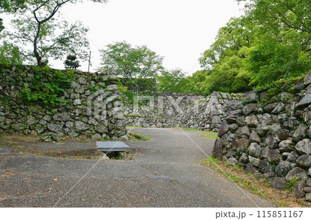 田丸城 本丸虎口跡 田丸城 本丸虎口跡 115851167