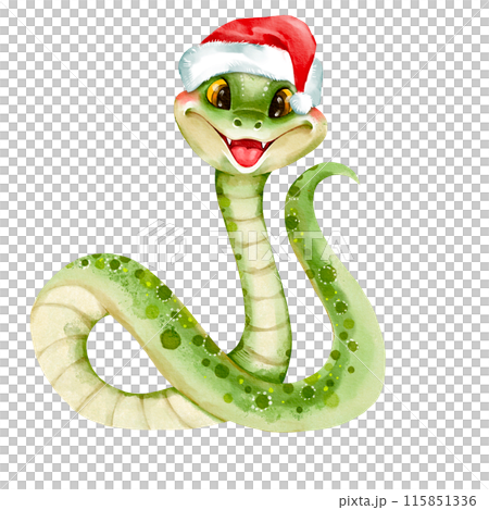Snake. Cute illustration of green snake in Santa hat, isolated on white background Snake. Cute illustration of green snake in Santa hat, isolated on white background 115851336