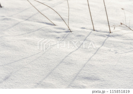 雪の積もった戦場ヶ原 115851819