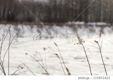 雪の積もった戦場ヶ原 115851822