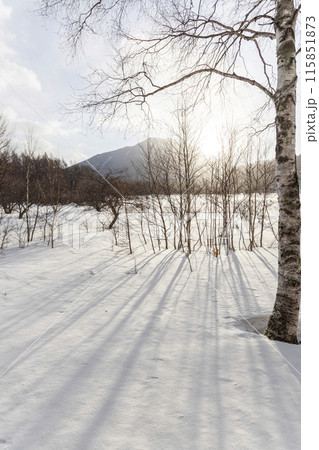 雪が積もった戦場ヶ原 115851873