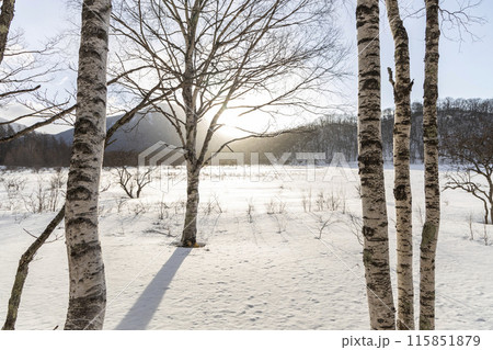 雪が積もった戦場ヶ原 115851879