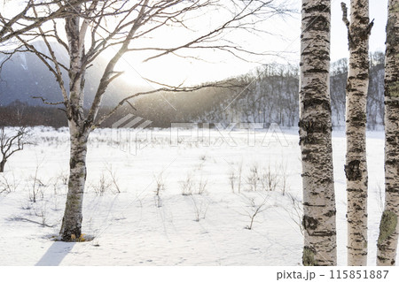 雪が積もった戦場ヶ原 115851887