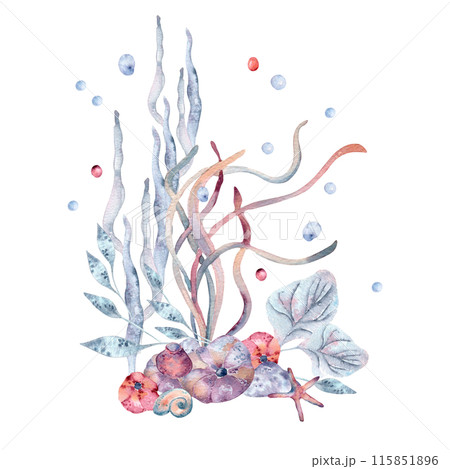 Watercolor sea arrangement with seaweeds and laminaria hand drawn. Nautical underwater landscape in monochrome dusty blue and pink tones painting. Marine design for summer beach printing, crafting 115851896
