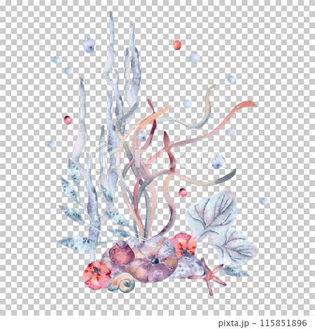 Watercolor sea arrangement with seaweeds and laminaria hand drawn. Nautical underwater landscape in monochrome dusty blue and pink tones painting. Marine design for summer beach printing, crafting 115851896