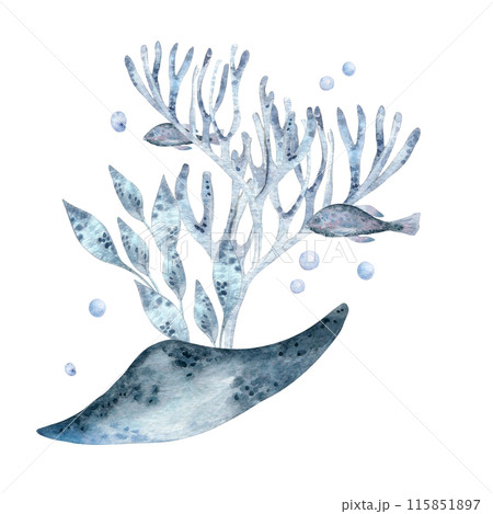 Underwater scene monochrome with coral, fish, and sea plants watercolor illustration isolated . Marine life with stingray and fish in dusty blue and lavender tones hand drawn. Sea life design 115851897
