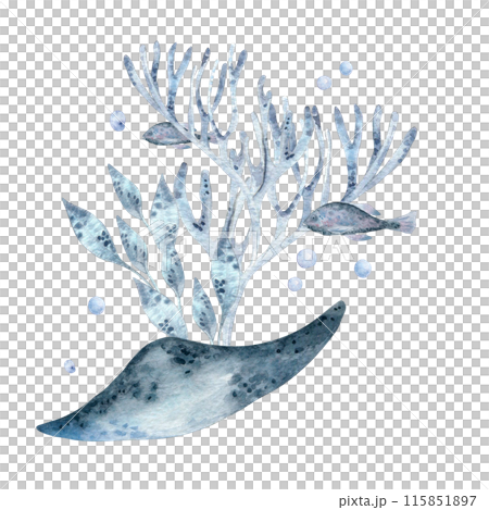 Underwater scene monochrome with coral, fish, and sea plants watercolor illustration isolated . Marine life with stingray and fish in dusty blue and lavender tones hand drawn. Sea life design 115851897