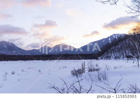 雪が積もった戦場ヶ原を歩く 雪が積もった戦場ヶ原を歩く 115852003