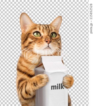 Red cat holding a carton of milk. 115852528