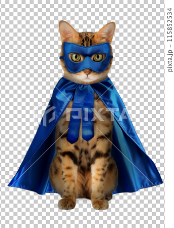 A charming red cat in a blue superhero costume sits on a transparent background. A charming red cat in a blue superhero costume sits on a transparent background. 115852534