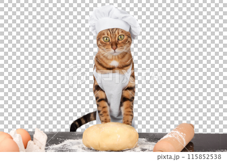 Baker cat in an apron and hat with dough on a transparent background. 115852538