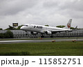 雨の大阪空港・伊丹空港に着陸する旅客機・飛行機・J-AIRエンブライエル190 115852751