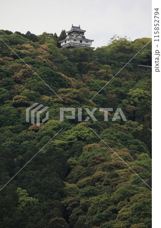 錦川から見上げる岩国城天守 錦川から見上げる岩国城天守 115852794