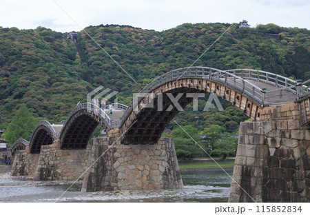 錦帯橋と岩国城 錦帯橋と岩国城 115852834