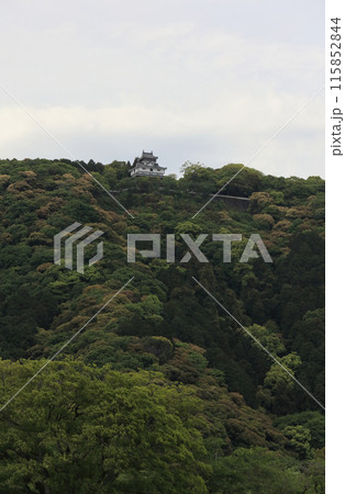 錦川から見上げる岩国城天守 錦川から見上げる岩国城天守 115852844