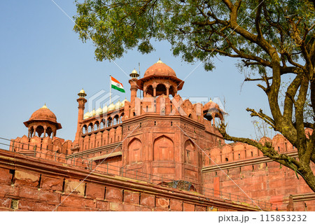 インドのデリーにあるレッドフォートのとても美しい風景 115853232