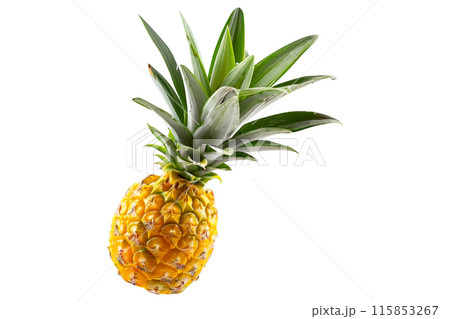 Vibrant and juicy pineapple with green leaves, perfect for summer recipes, isolated on white transparent background. 115853267