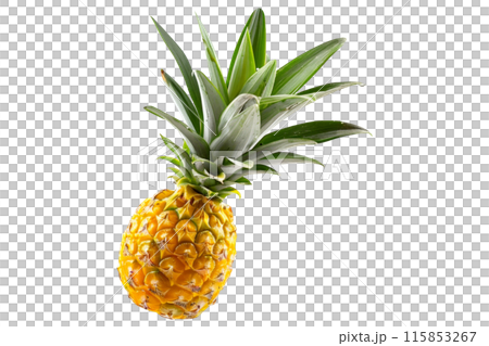Vibrant and juicy pineapple with green leaves, perfect for summer recipes, isolated on white transparent background. 115853267