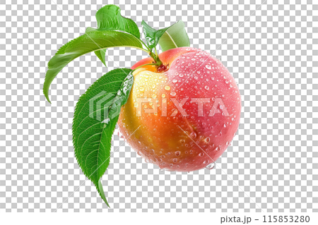 A closeup view of a ripe, fresh peach or nectarine covered in dew drops, surrounded by green leaves isolated on white background. 115853280