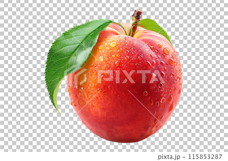 A closeup view of a ripe, fresh peach or nectarine covered in dew drops, surrounded by green leaves isolated on white background. 115853287