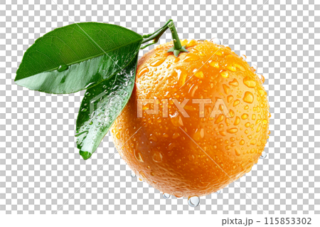 A fresh, juicy orange with water droplets represents natural, vibrant citrus goodness isolated on a white transparent background 115853302