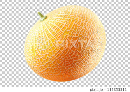 A ripe and juicy cantaloupe melon isolated on a white transparent background, highlighting its textured skin. 115853311