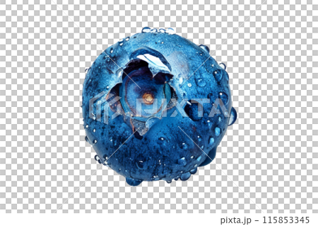 Fresh blueberries isolated on white background, perfect for healthy organic food concept. 115853345