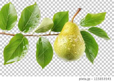 Fresh juicy pear with water droplets and leaf isolated on a white background, highlighting its natural beauty and freshness 115853543