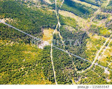 An aerial view of the forest surrounding the Sky Bridge 721 in Czechia. The bridge, a long, white line, stretches across the dense forest, connecting two mountain peaks. 115853547