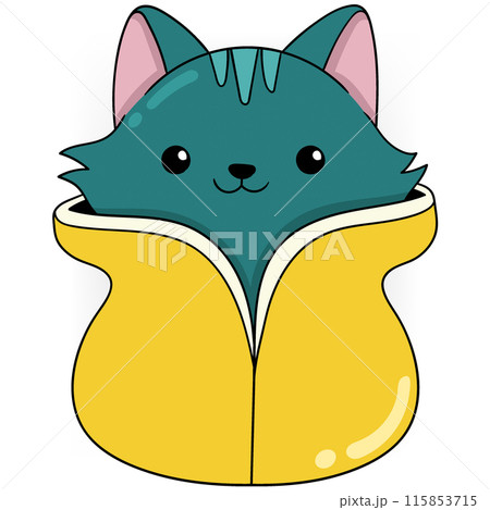 Playful Kitten Playing Hide and Seek Playful Kitten Playing Hide and Seek 115853715