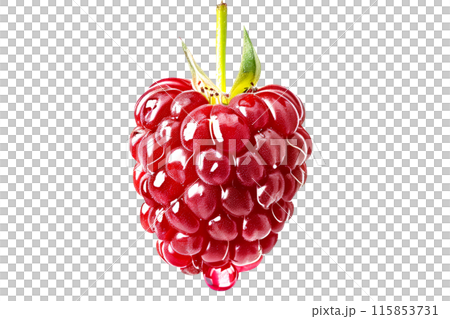 Closeup of fresh ripe raspberry with green leaves, vibrant color and juicy textures, perfect for culinary creations. 115853731