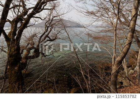 春先の十和田湖(くもり) 春先の十和田湖(くもり) 115853782